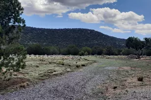 47683 N Deadwood Dr, Seligman, AZ 86337 - Photo 28