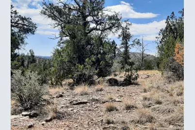 52852 N Calle Campo, Seligman, AZ 86337 - Photo 8