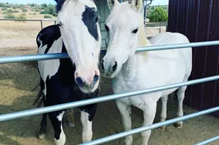 4675 W Trevor Trail, Prescott, AZ 86305 - Photo 34