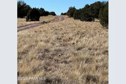 26300 W. Highway Rd., Seligman, AZ 86337 - Photo 4