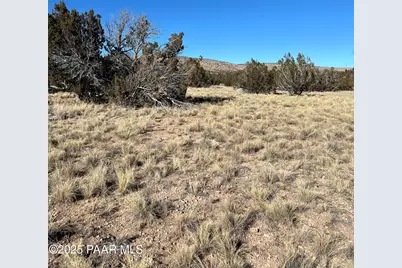 26300 W. Highway Rd., Seligman, AZ 86337 - Photo 2