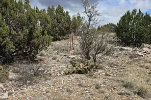 3485 Valley View Rd, Chino Valley, AZ 86323 - Photo 1