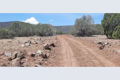 Xxxx Martinez, Williams, AZ 86046 - Photo 12