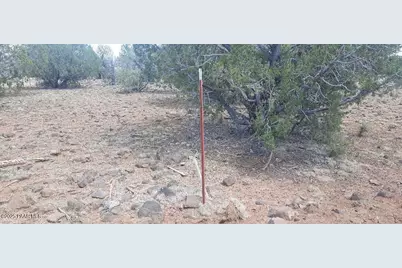 Xxxx Martinez, Williams, AZ 86046 - Photo 6