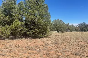 32970 Forest Ln, Seligman, AZ 86337 - Photo 1