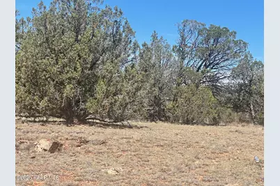 32970 Forest Lane, Seligman, AZ 86337 - Photo 4