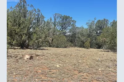 32970 Forest Lane, Seligman, AZ 86337 - Photo 2