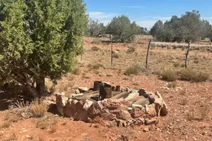 58558 N Shadow Mountain Pkwy, Seligman, AZ 86337 - Photo 32