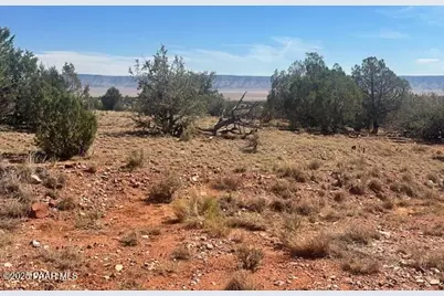 58558 N Shadow Mountain Parkway, Seligman, AZ 86337 - Photo 34