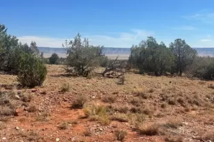 58558 N Shadow Mountain Pkwy, Seligman, AZ 86337 - Photo 34