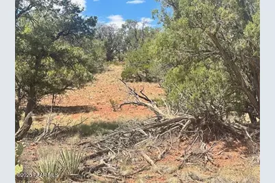 1020 Duffis Bluff Road, Seligman, AZ 86337 - Photo 14