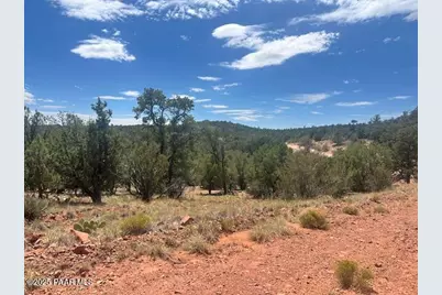 1020 Duffis Bluff Road, Seligman, AZ 86337 - Photo 10