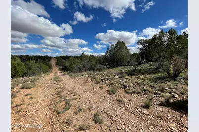 54413 Thunderbird Lane, Seligman, AZ 86337 - Photo 8
