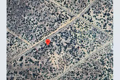 54413 Thunderbird Lane, Seligman, AZ 86337 - Photo 14