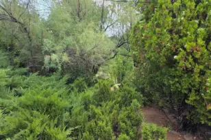 403 Sun St, Prescott, AZ 86301 - Photo 18