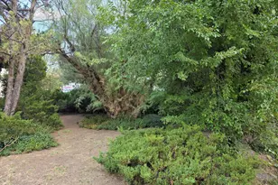 403 Sun St, Prescott, AZ 86301 - Photo 12