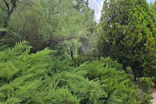 403 Sun St, Prescott, AZ 86301 - Photo 16