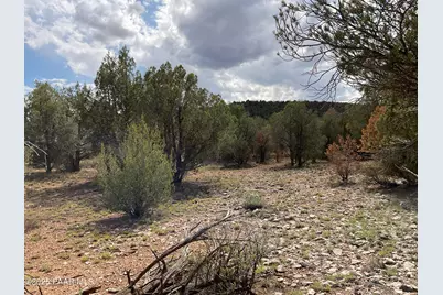 40670 W Scout Trail, Seligman, AZ 86337 - Photo 6
