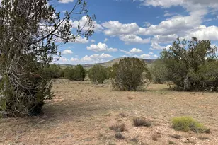 40670 W Scout Trail, Seligman, AZ 86337 - Photo 1