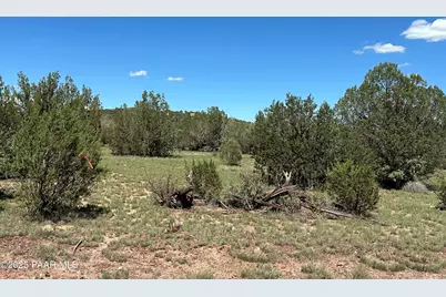 1013 W Fairview Drive, Williams, AZ 86046 - Photo 4