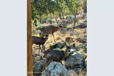 734 E Pine Knoll Drive, Prescott, AZ 86303 - Photo 24