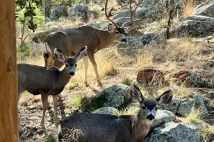 734 E Pine Knoll Dr, Prescott, AZ 86303 - Photo 24