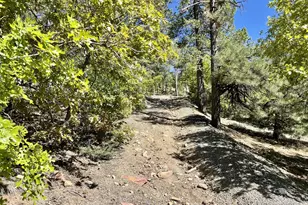 807X Snowdrift Mine Rd, Prescott, AZ 86303 - Photo 1
