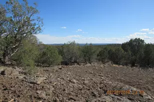 3731 N Anita Dr, Williams, AZ 86046 - Photo 1