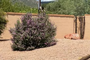 20 Creek Rock Rd, Sedona, AZ 86351 - Photo 4