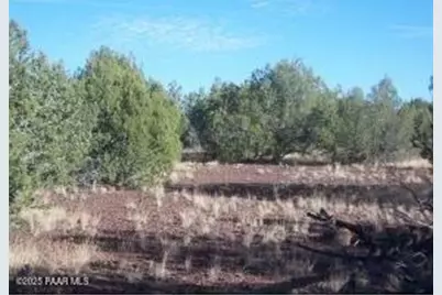 3792 N Cleo Drive, Williams, AZ 86046 - Photo 1