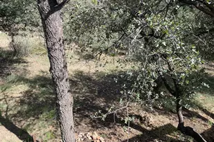 10 Shadow Vista St, Prescott, AZ 86305 - Photo 22