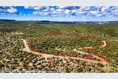 1399 N Thunder Ridge Ranch Road, Seligman, AZ 86337 - Photo 2