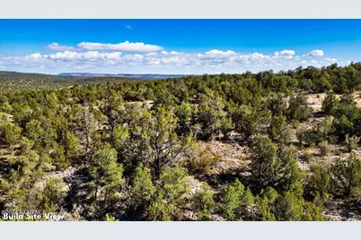 1399 N Thunder Ridge Ranch Road, Seligman, AZ 86337 - Photo 8