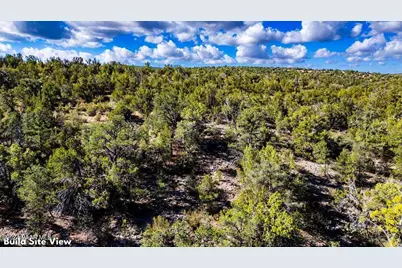 1399 N Thunder Ridge Ranch Road, Seligman, AZ 86337 - Photo 10