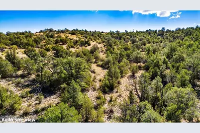 1399 N Thunder Ridge Ranch Road, Seligman, AZ 86337 - Photo 6