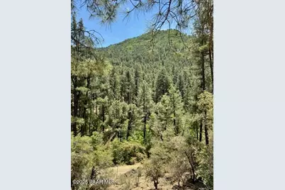 0 E Poland Road, Mayer, AZ 86333 - Photo 4