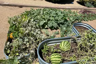 8833 N Grass Vly Ln, Prescott Valley, AZ 86315 - Photo 34