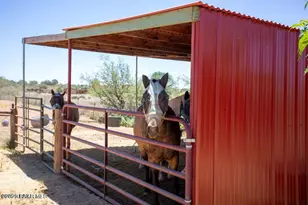 9900 N Sycamore Pass Rd, Sedona, AZ 86336 - Photo 36
