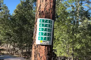 4754 S Senator Hwy, Prescott, AZ 86303 - Photo 26