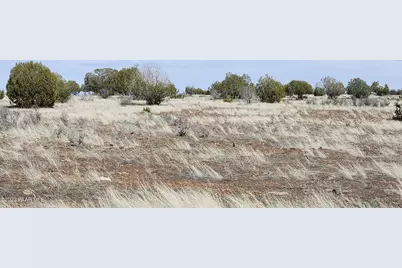 644 Cortez Ranch Rd, Ash Fork, AZ 86320 - Photo 10