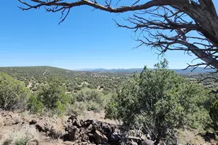 21095 McKenzie Dr, Kingman, AZ 86401 - Photo 20