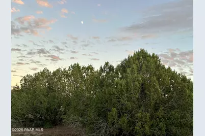 2460 Denny Drive, Williams, AZ 86046 - Photo 10