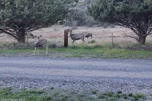 18212 S Pioneer Rd, Peeples Valley, AZ 86332 - Photo 34
