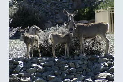 525 Lotus Court, Prescott, AZ 86301 - Photo 4