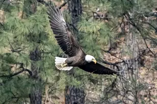 525 Lotus Ct, Prescott, AZ 86301 - Photo 76