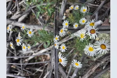7250 W Hootenanny Road, Prescott, AZ 86305 - Photo 28