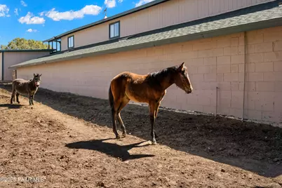 33425 W Cowboy Clint Way, Seligman, AZ 86337 - Photo 72