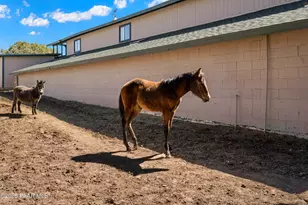 33425 W Cowboy Clint Way, Seligman, AZ 86337 - Photo 72