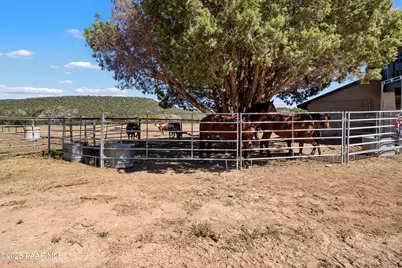 33425 W Cowboy Clint Way, Seligman, AZ 86337 - Photo 74