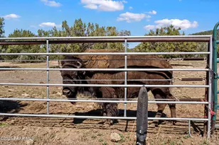 33425 W Cowboy Clint Way, Seligman, AZ 86337 - Photo 70